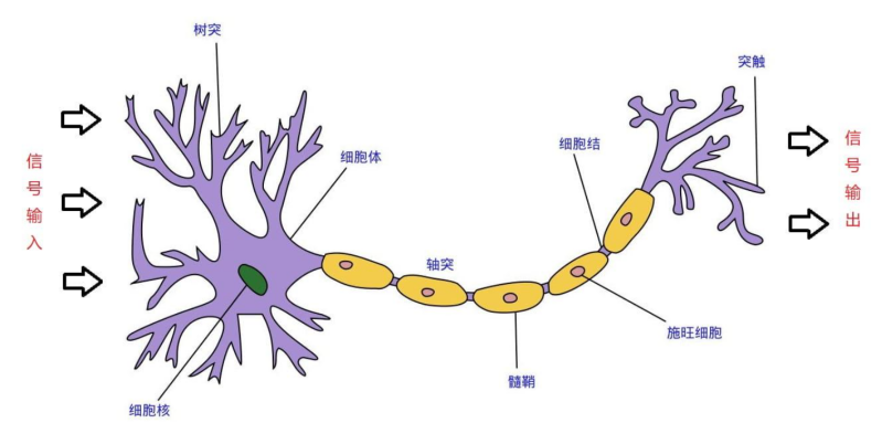 机器的未来——漫谈人工智能与意识(图6)