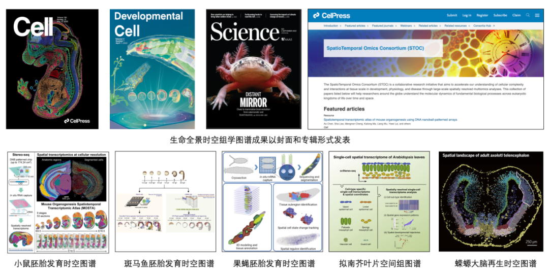 2022年度中国生命科学十大进展发布(图6)